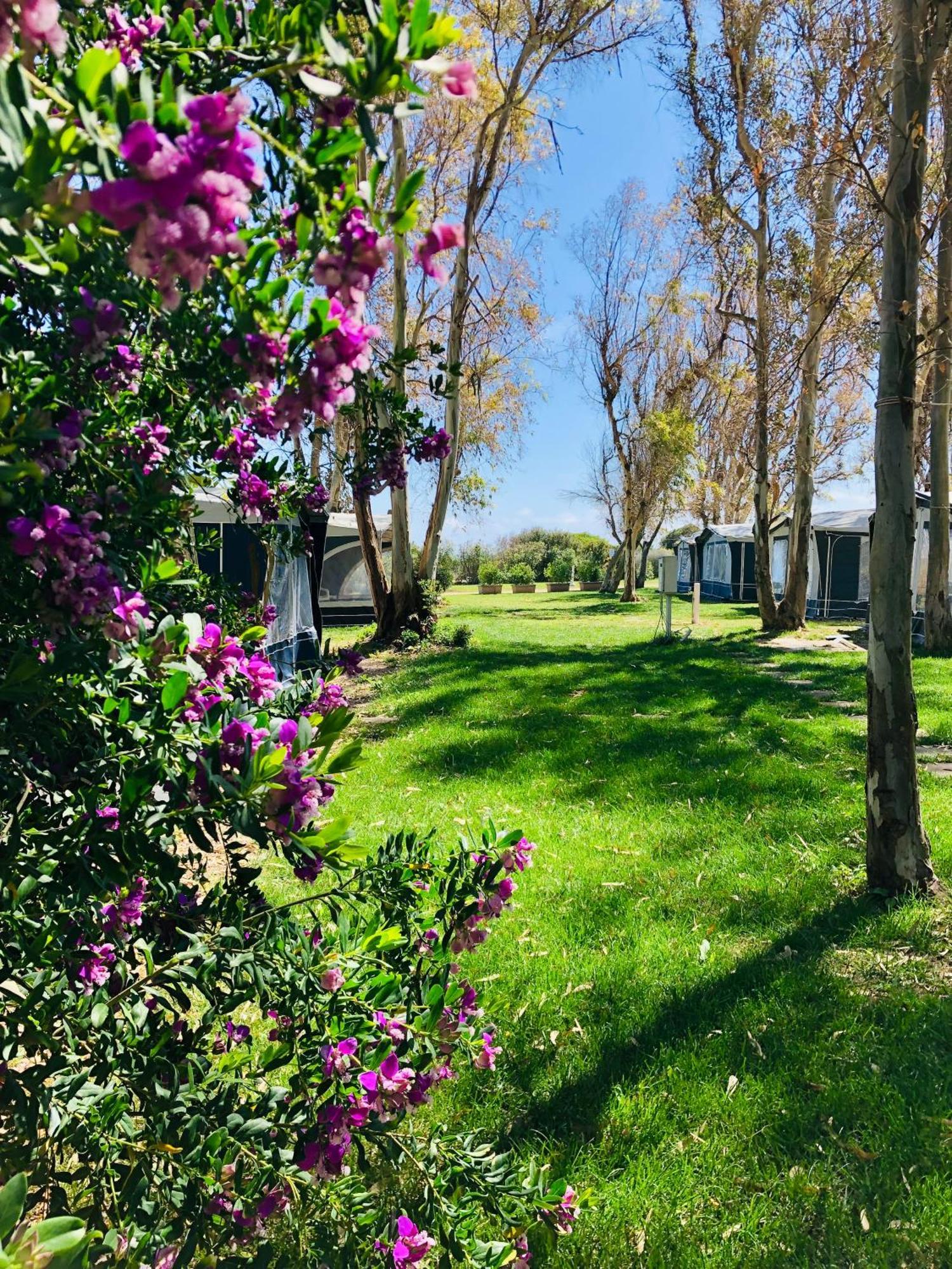 Camping Cala D'Ostia Pula Eksteriør bilde