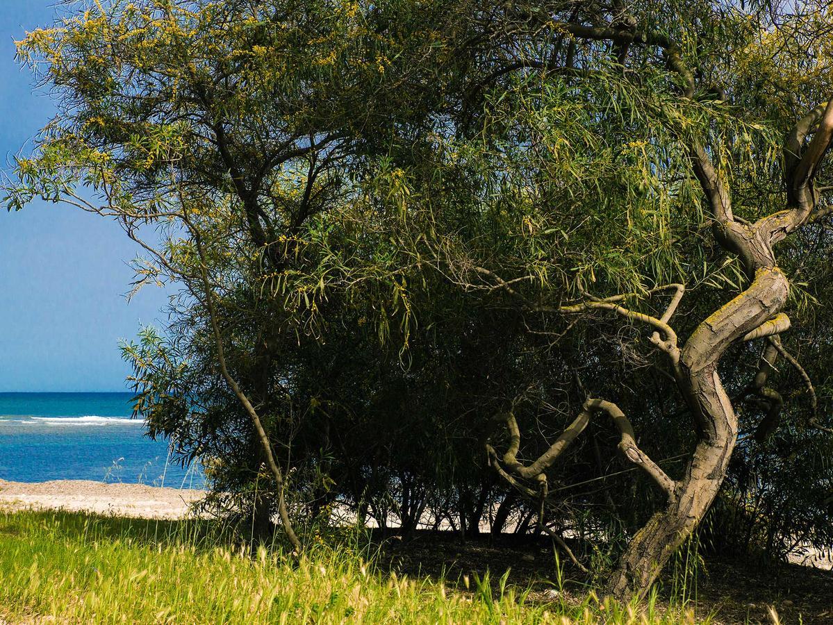 Camping Cala D'Ostia Pula Eksteriør bilde
